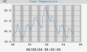 Pond Temperatures